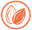 almond icon1