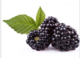 Blackberry