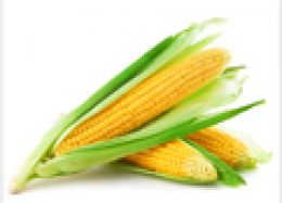 Corn